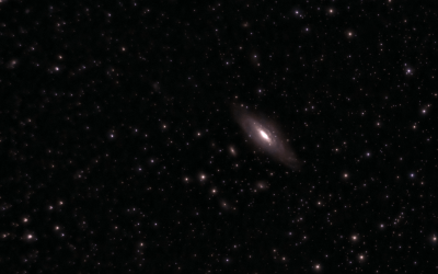 2025 in Citizen Science – The Biggest Year Yet!